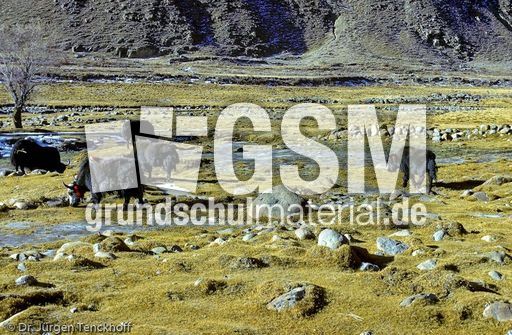 Tibet (118 von 257).jpg